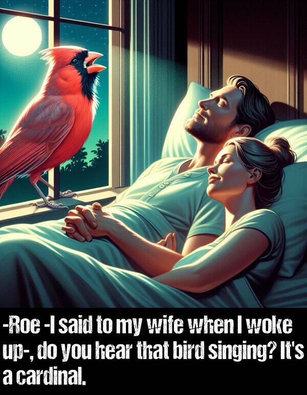 bird: -Roe -I said to my wife when I woke up-, do you hear that bird singing? It's a cardinal.