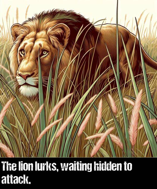 lion: The lion lurks, waiting hidden to attack.