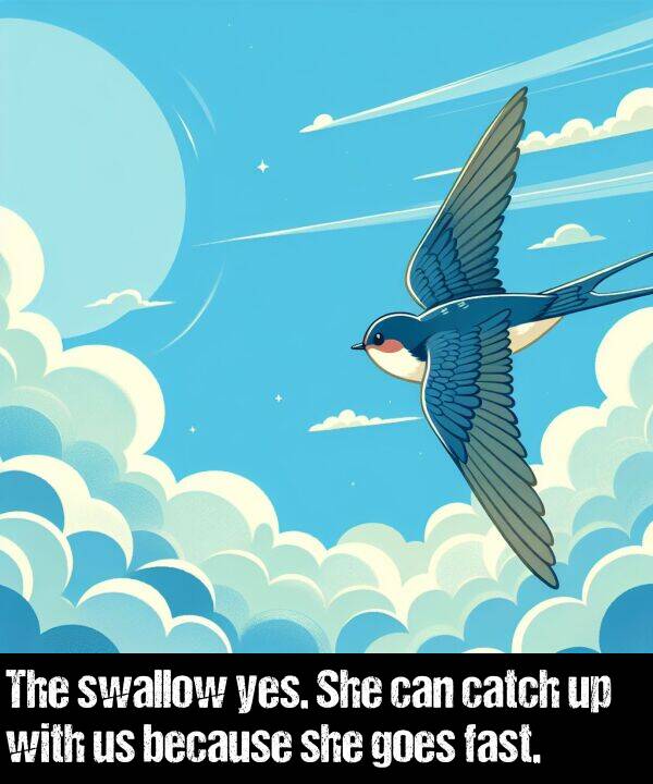 because: The swallow yes. She can catch up with us because she goes fast.