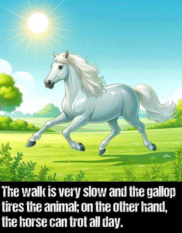 hand: The walk is very slow and the gallop tires the animal; on the other hand, the horse can trot all day.