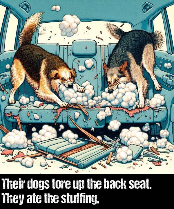 back: Their dogs tore up the back seat. They ate the stuffing.