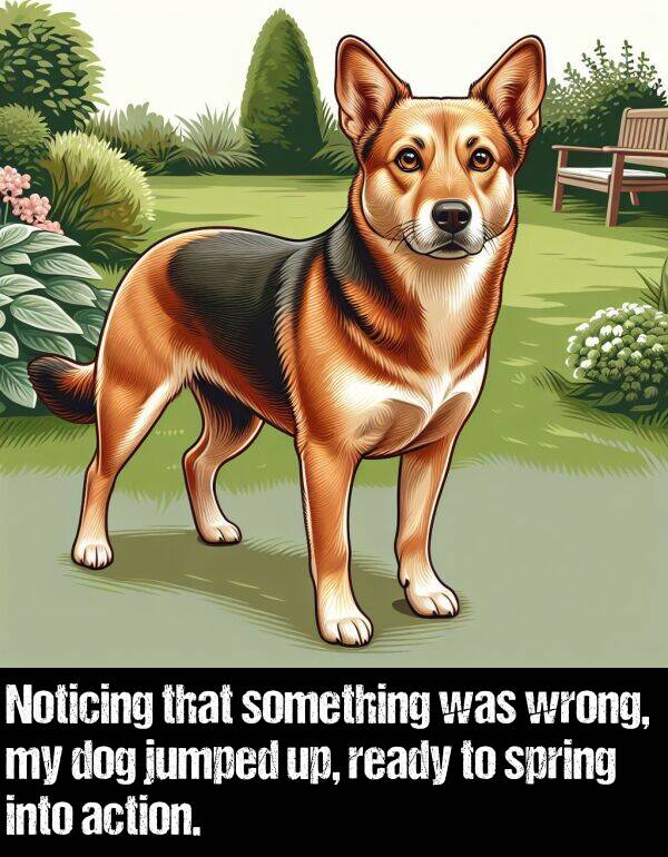 ready: Noticing that something was wrong, my dog jumped up, ready to spring into action.