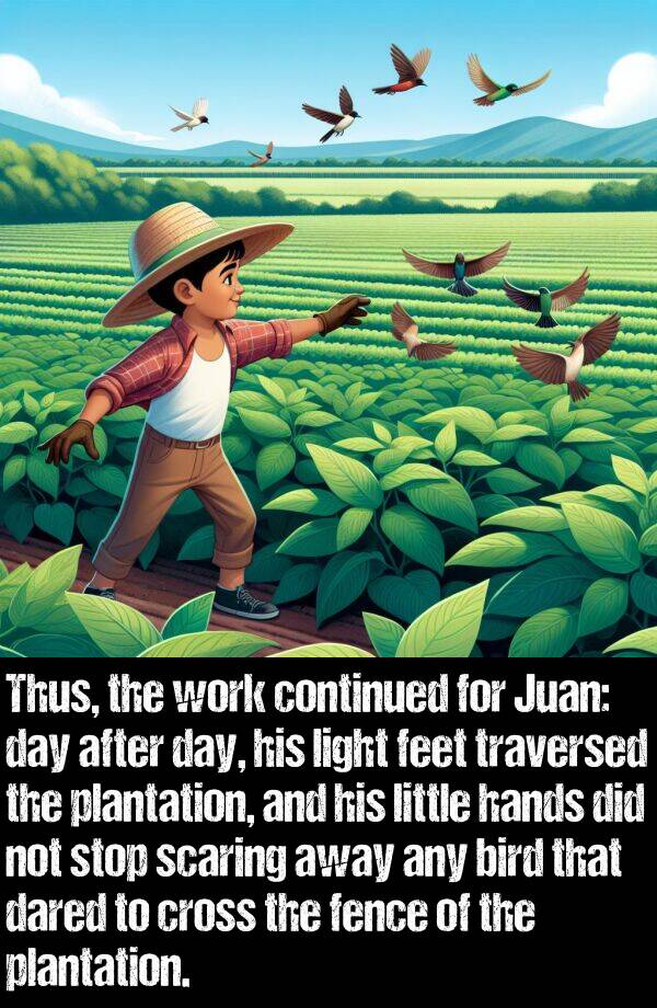 light: Thus, the work continued for Juan: day after day, his light feet traversed the plantation, and his little hands did not stop scaring away any bird that dared to cross the fence of the plantation.
