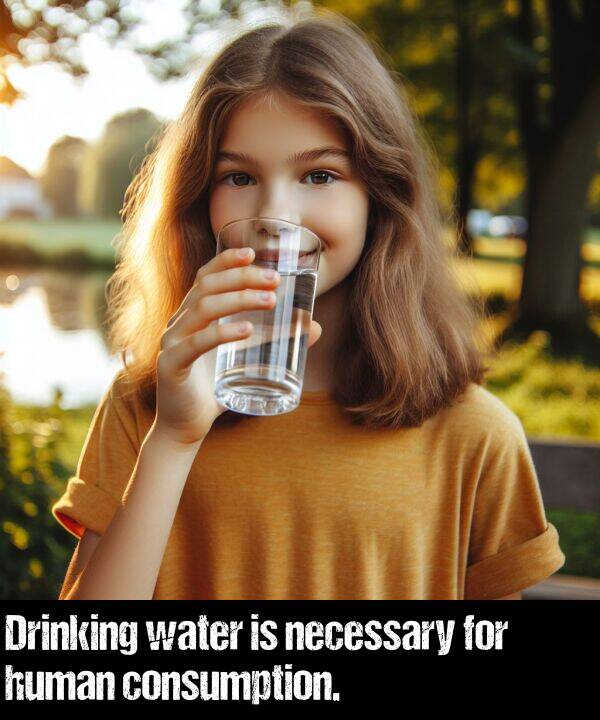 necessary: Drinking water is necessary for human consumption.