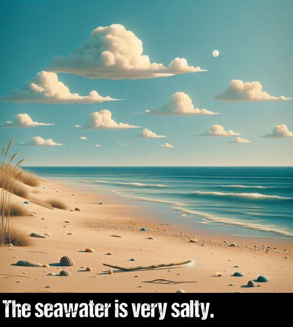 very: The seawater is very salty.