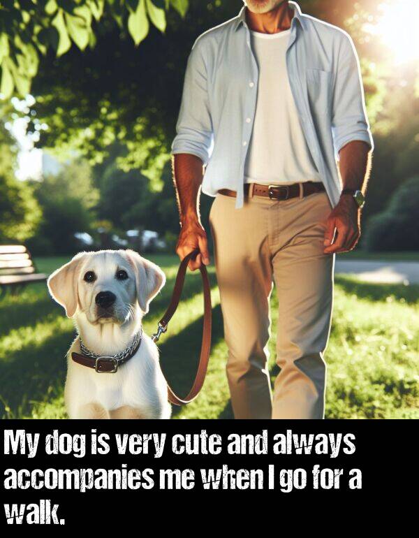 accompanies: My dog is very cute and always accompanies me when I go for a walk.