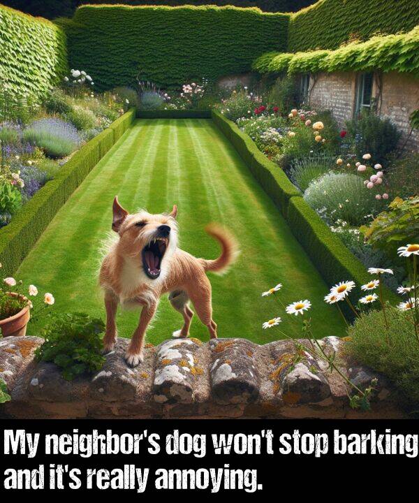 really: My neighbor's dog won't stop barking and it's really annoying.