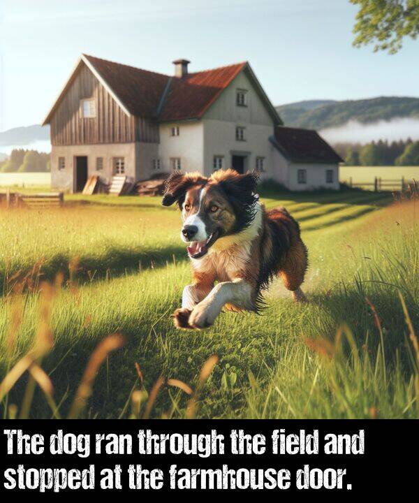 field: The dog ran through the field and stopped at the farmhouse door.