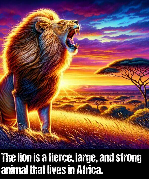 lives: The lion is a fierce, large, and strong animal that lives in Africa.