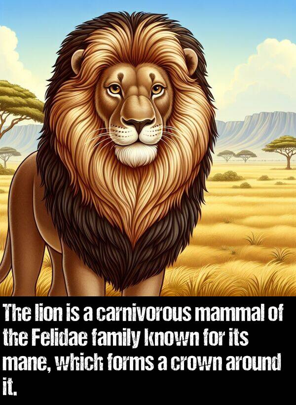 which: The lion is a carnivorous mammal of the Felidae family known for its mane, which forms a crown around it.