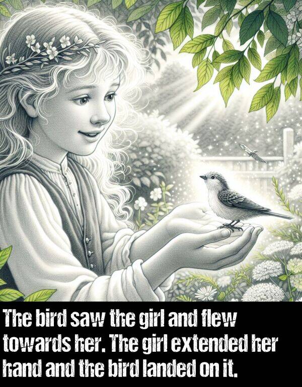 landed: The bird saw the girl and flew towards her. The girl extended her hand and the bird landed on it.