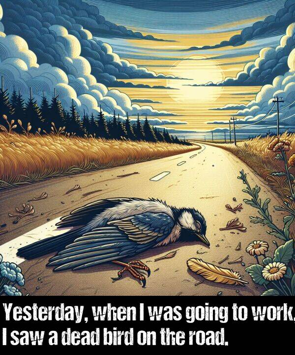 bird: Yesterday, when I was going to work, I saw a dead bird on the road.