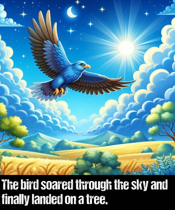 landed: The bird soared through the sky and finally landed on a tree.