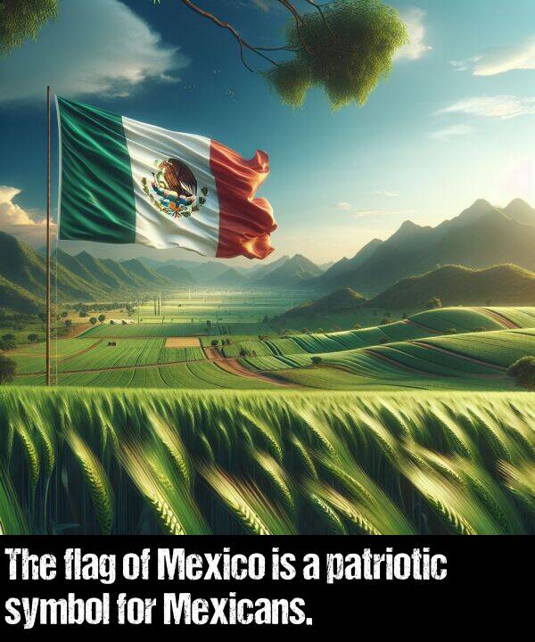 patriotic: The flag of Mexico is a patriotic symbol for Mexicans.