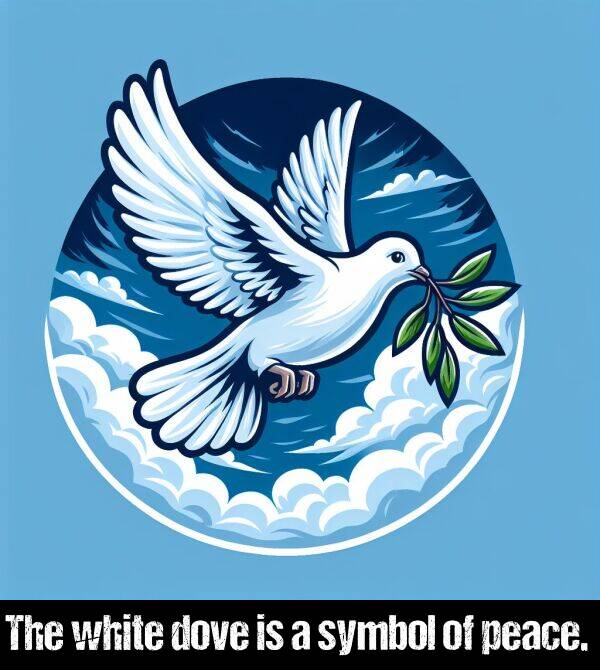 white: The white dove is a symbol of peace.
