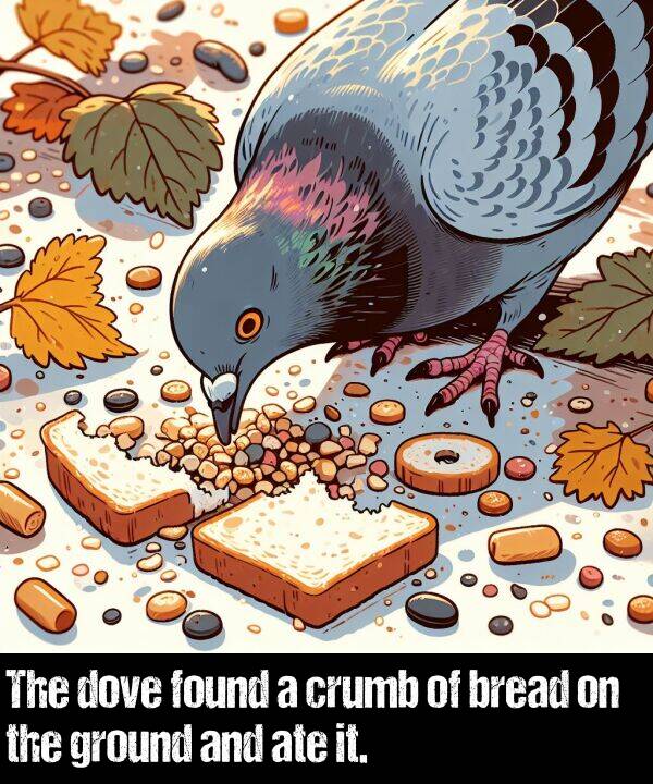 bread: The dove found a crumb of bread on the ground and ate it.