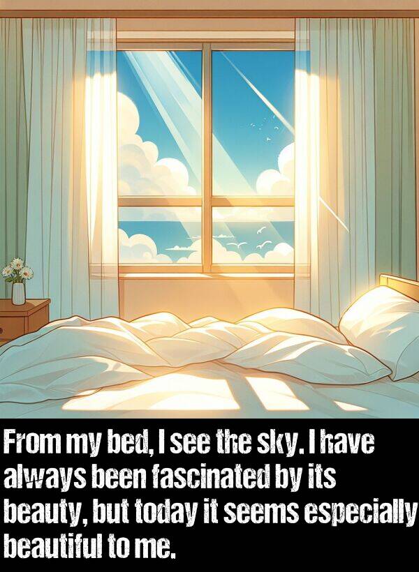 bed: From my bed, I see the sky. I have always been fascinated by its beauty, but today it seems especially beautiful to me.