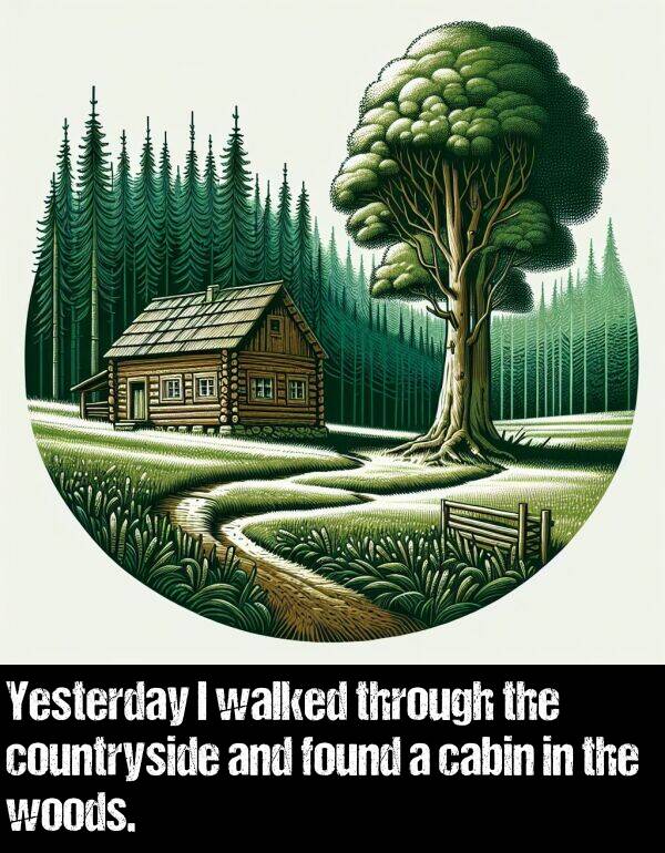 cabin: Yesterday I walked through the countryside and found a cabin in the woods.