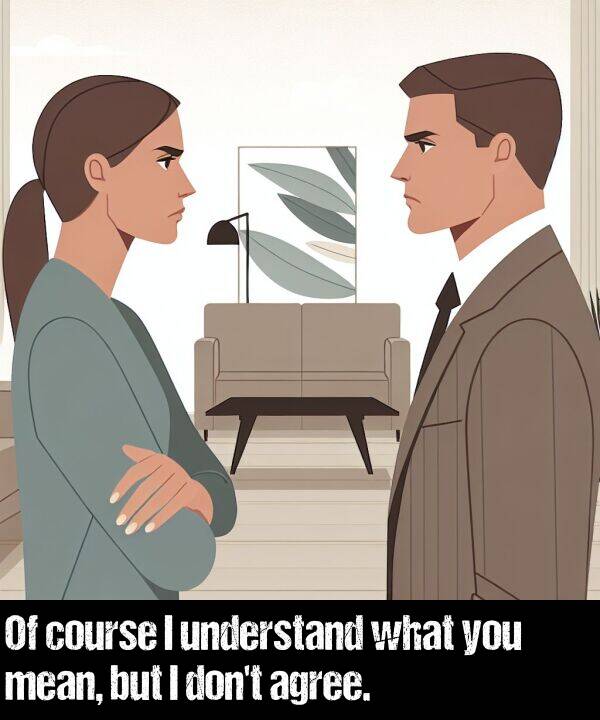 but: Of course I understand what you mean, but I don't agree.