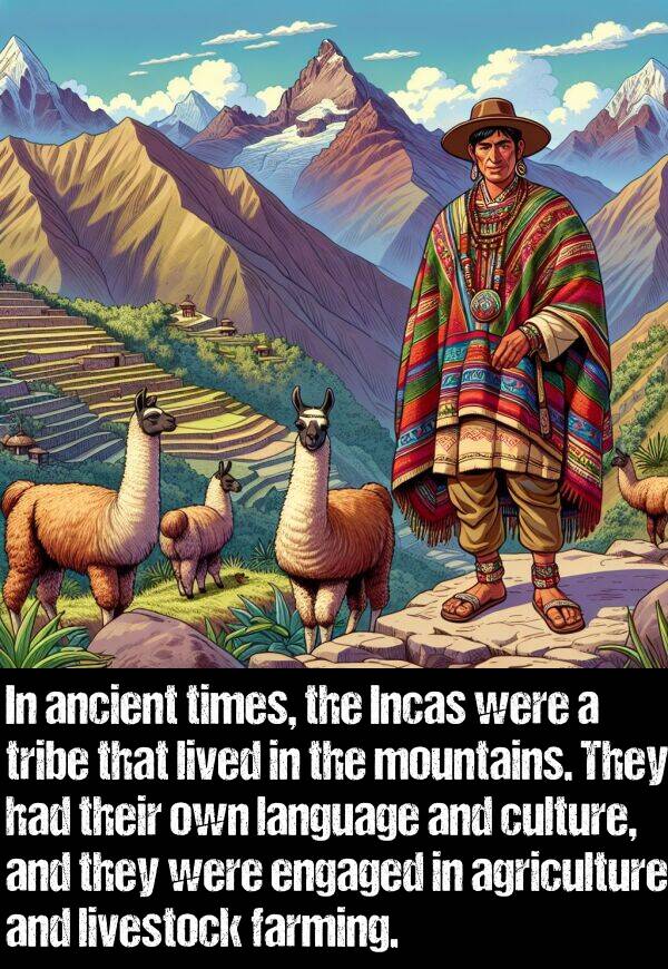 language: In ancient times, the Incas were a tribe that lived in the mountains. They had their own language and culture, and they were engaged in agriculture and livestock farming.