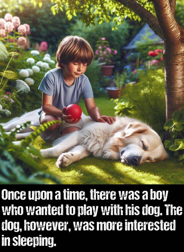 boy: Once upon a time, there was a boy who wanted to play with his dog. The dog, however, was more interested in sleeping.