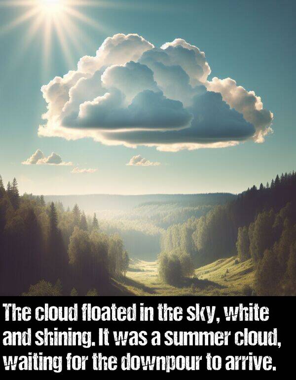 white: The cloud floated in the sky, white and shining. It was a summer cloud, waiting for the downpour to arrive.