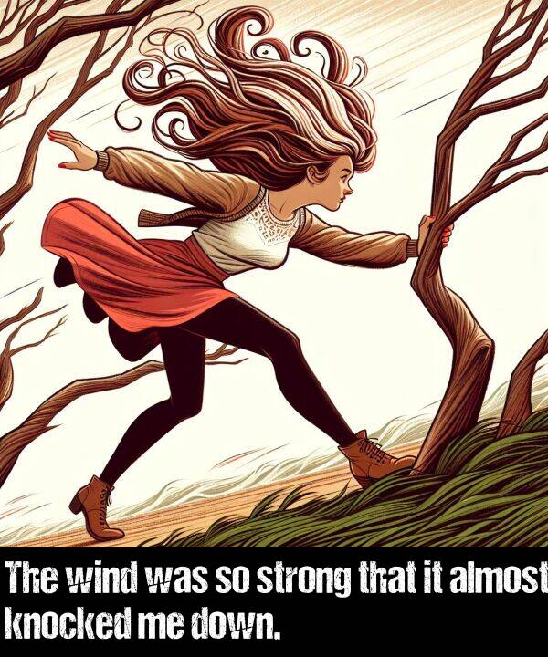 knocked: The wind was so strong that it almost knocked me down.