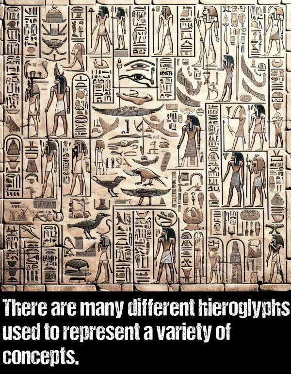 variety: There are many different hieroglyphs used to represent a variety of concepts.