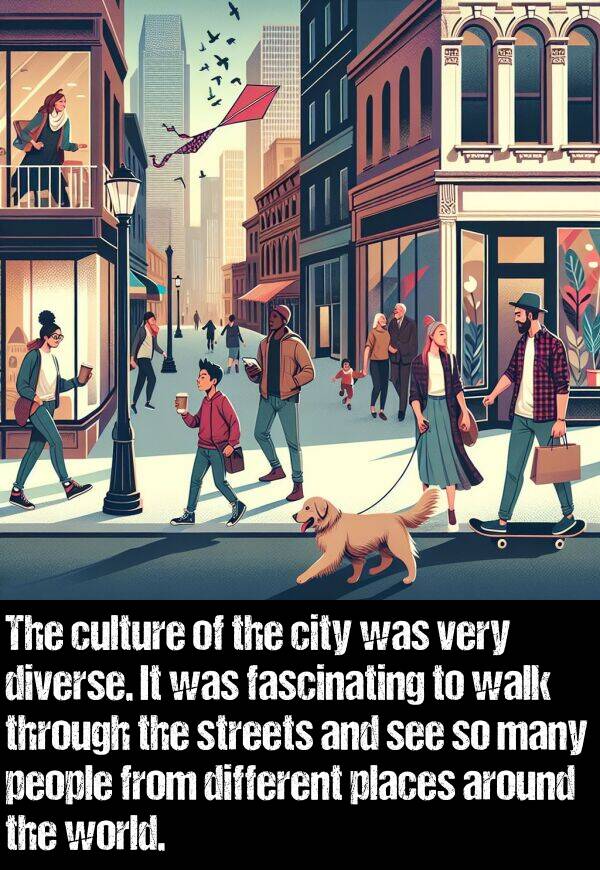 walk: The culture of the city was very diverse. It was fascinating to walk through the streets and see so many people from different places around the world.