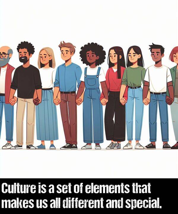 makes: Culture is a set of elements that makes us all different and special.