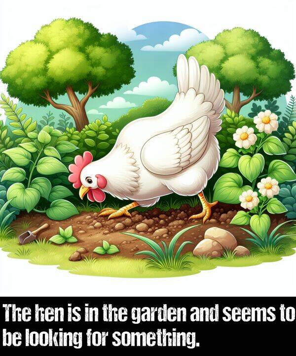 looking: The hen is in the garden and seems to be looking for something.