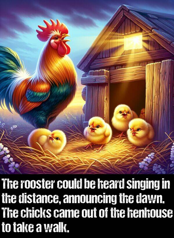 take: The rooster could be heard singing in the distance, announcing the dawn. The chicks came out of the henhouse to take a walk.