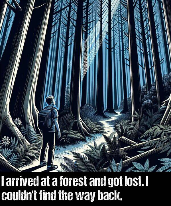 back: I arrived at a forest and got lost. I couldn't find the way back.
