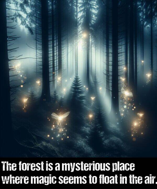 mysterious: The forest is a mysterious place where magic seems to float in the air.