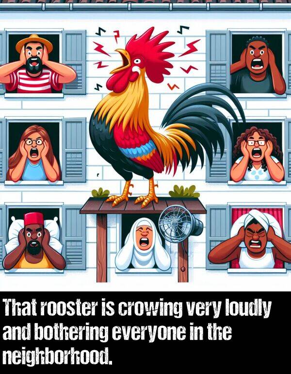 loudly: That rooster is crowing very loudly and bothering everyone in the neighborhood.