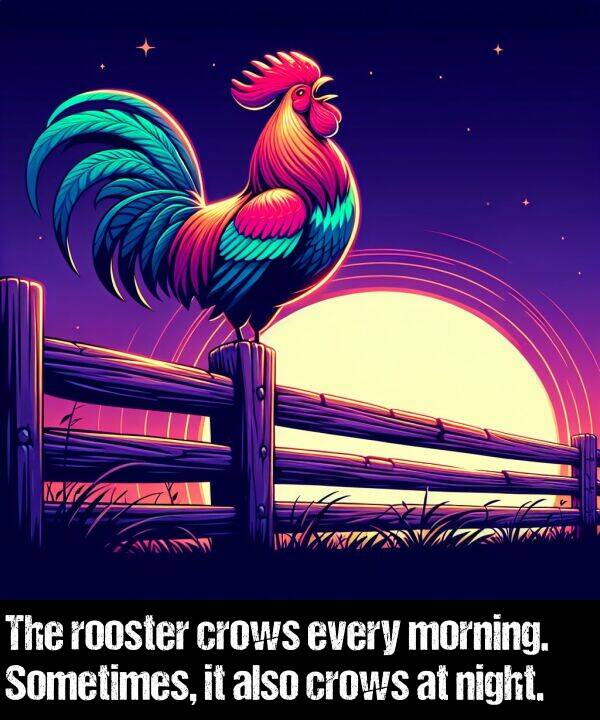 morning: The rooster crows every morning. Sometimes, it also crows at night.