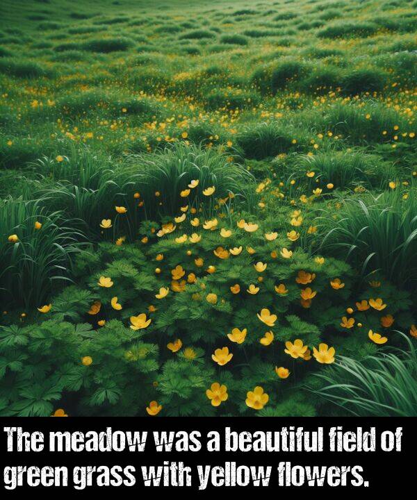 yellow: The meadow was a beautiful field of green grass with yellow flowers.