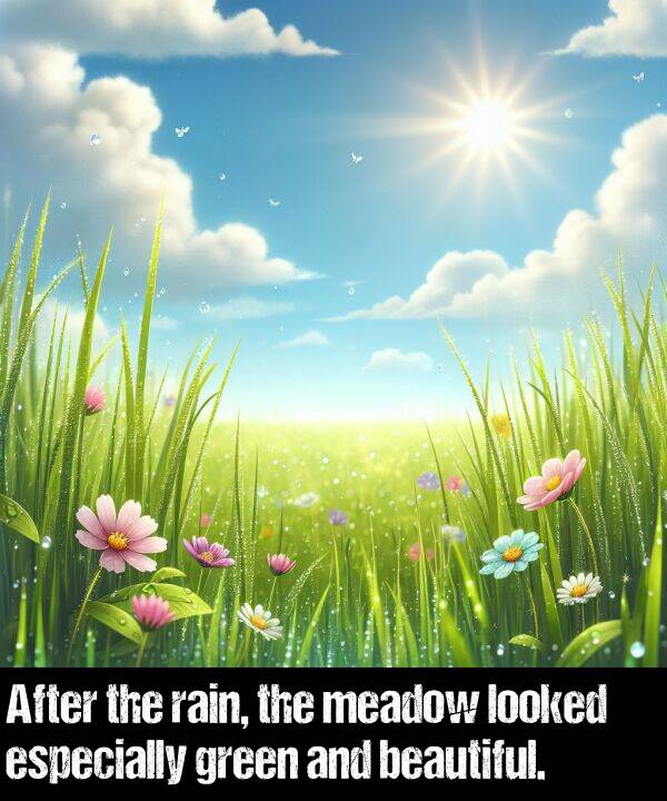 looked: After the rain, the meadow looked especially green and beautiful.