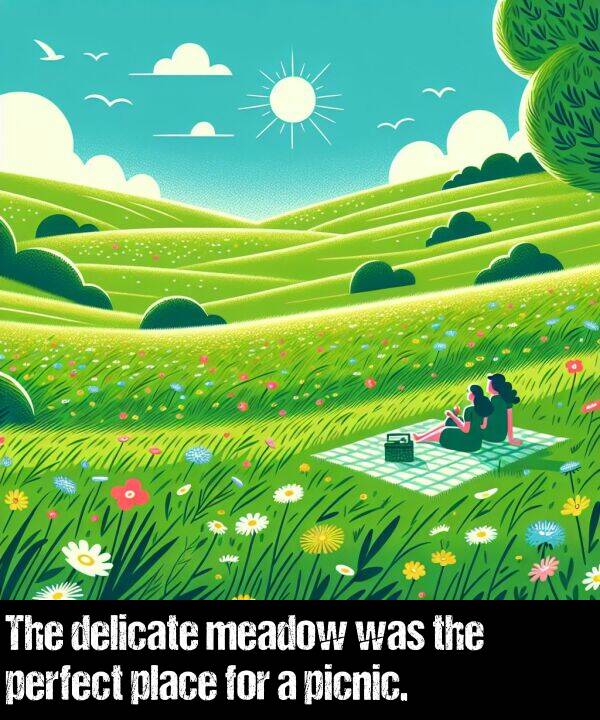meadow: The delicate meadow was the perfect place for a picnic.