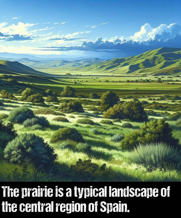 landscape: The prairie is a typical landscape of the central region of Spain.