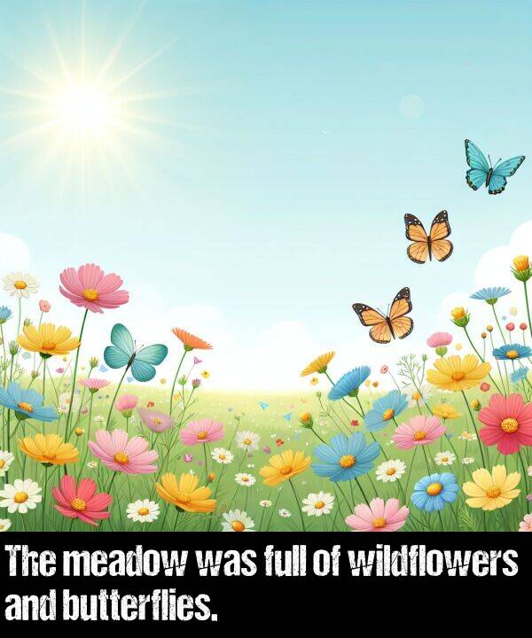 butterflies: The meadow was full of wildflowers and butterflies.