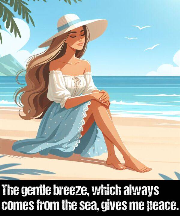 which: The gentle breeze, which always comes from the sea, gives me peace.