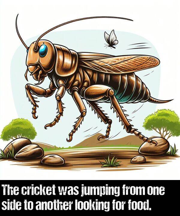 looking: The cricket was jumping from one side to another looking for food.