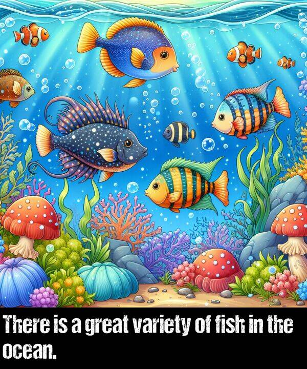 ocean: There is a great variety of fish in the ocean.