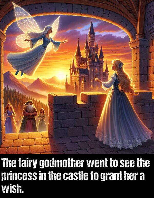 fairy: The fairy godmother went to see the princess in the castle to grant her a wish.