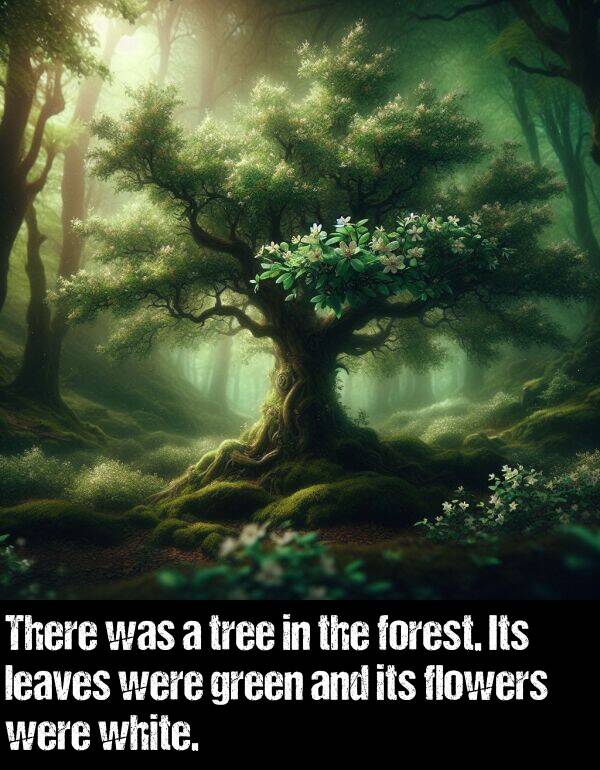 white: There was a tree in the forest. Its leaves were green and its flowers were white.