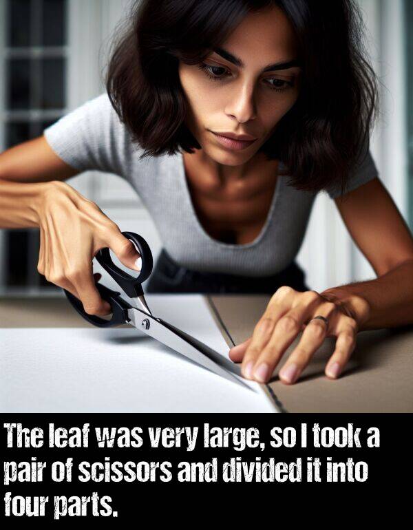 leaf: The leaf was very large, so I took a pair of scissors and divided it into four parts.