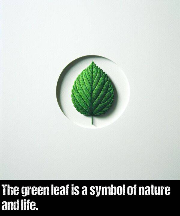 leaf: The green leaf is a symbol of nature and life.