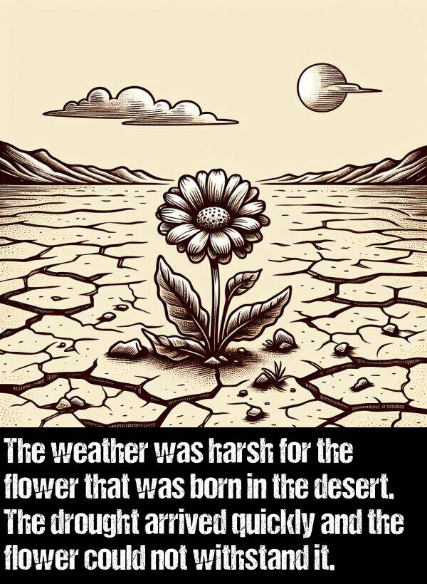 born: The weather was harsh for the flower that was born in the desert. The drought arrived quickly and the flower could not withstand it.