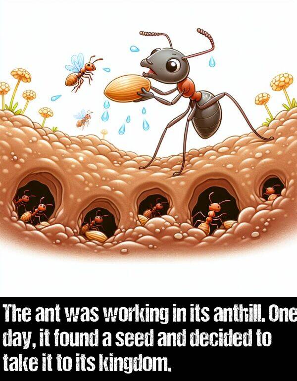 take: The ant was working in its anthill. One day, it found a seed and decided to take it to its kingdom.